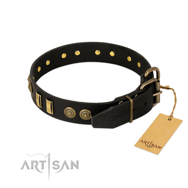 Reliable decorations on leather dog collar for your four-legged friend