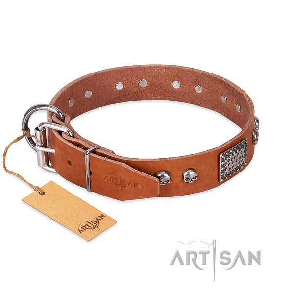 Strong hardware on everyday walking dog collar