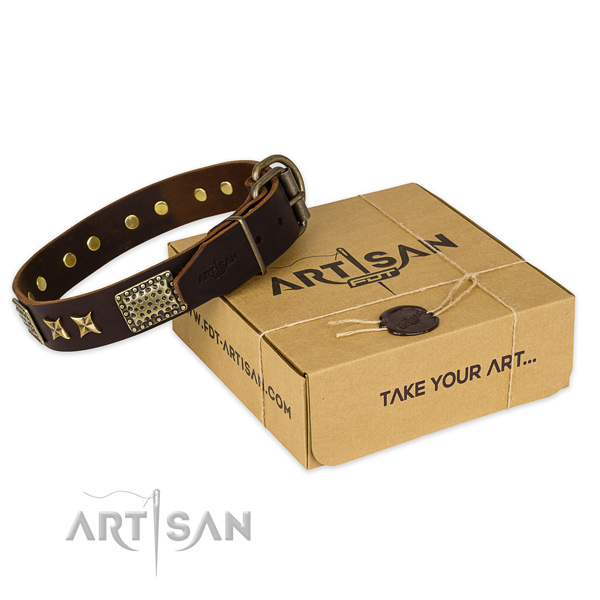 Reliable traditional buckle on full grain genuine leather collar for your attractive canine