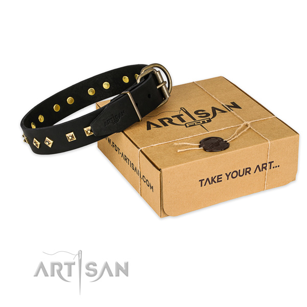 Reliable hardware on genuine leather collar for your attractive dog