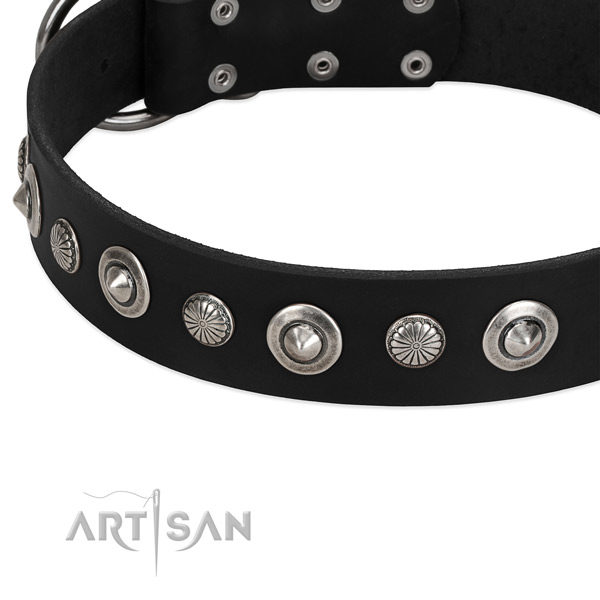 Stylish embellished dog collar of high quality leather