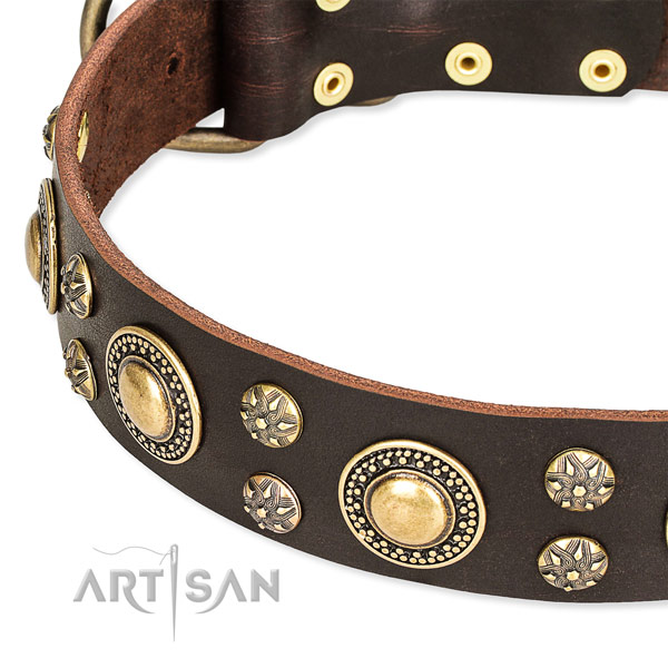 Stylish walking adorned dog collar of top notch full grain natural leather