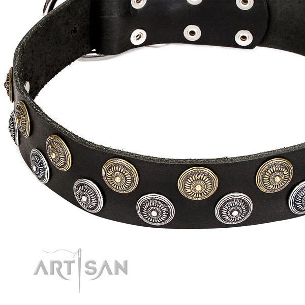 Easy wearing adorned dog collar of finest quality full grain natural leather