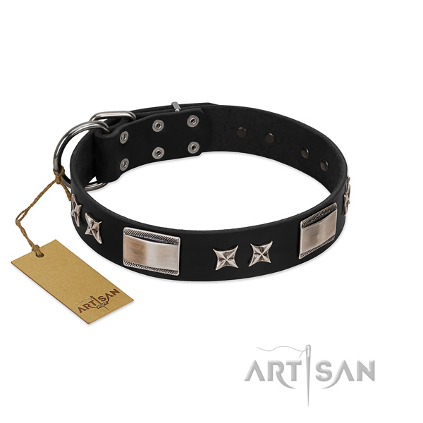 Extraordinary dog collar of natural leather