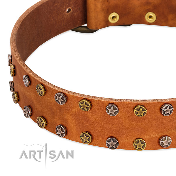 Handy use full grain genuine leather dog collar with unique adornments