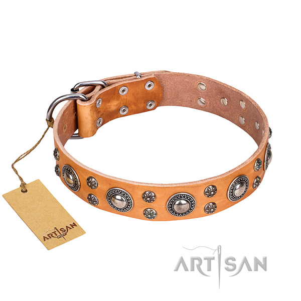 Handy use dog collar of finest quality full grain leather with embellishments