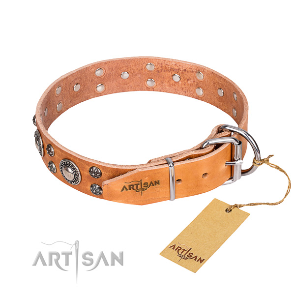 Walking embellished dog collar of top quality full grain genuine leather