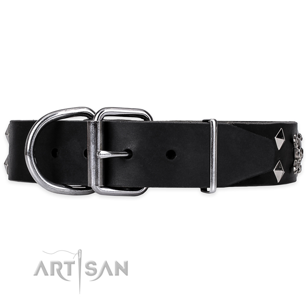 Everyday walking embellished dog collar of reliable genuine leather