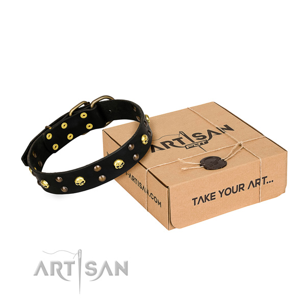 Comfy wearing dog collar of high quality natural leather with studs