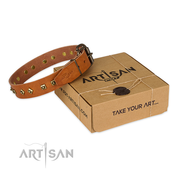 Reliable fittings on natural leather dog collar for handy use