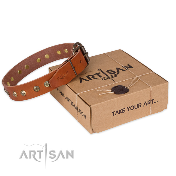 Reliable D-ring on full grain natural leather collar for your attractive canine