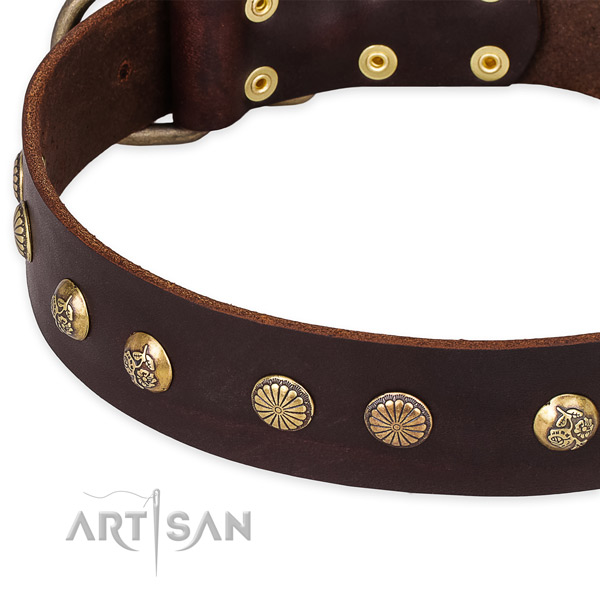 Full grain genuine leather collar with corrosion proof traditional buckle for your impressive doggie