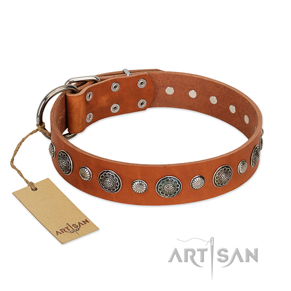 Durable full grain leather dog collar with corrosion resistant fittings