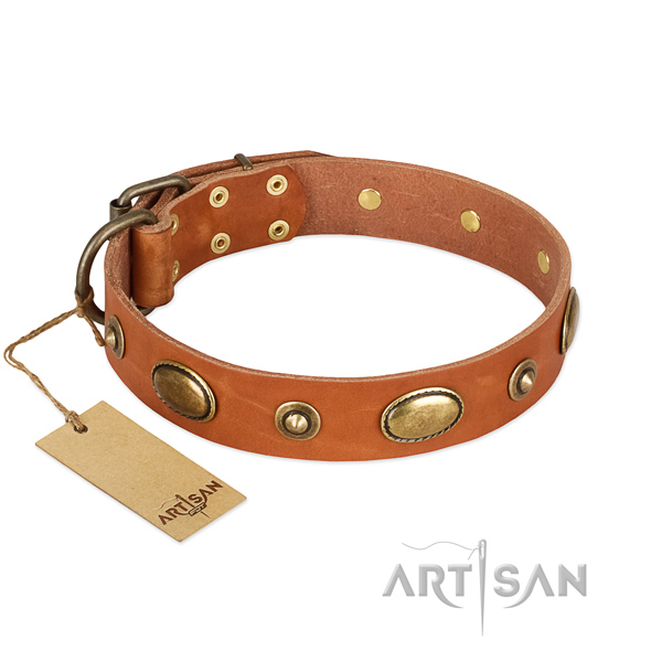 Exceptional full grain natural leather collar for your dog