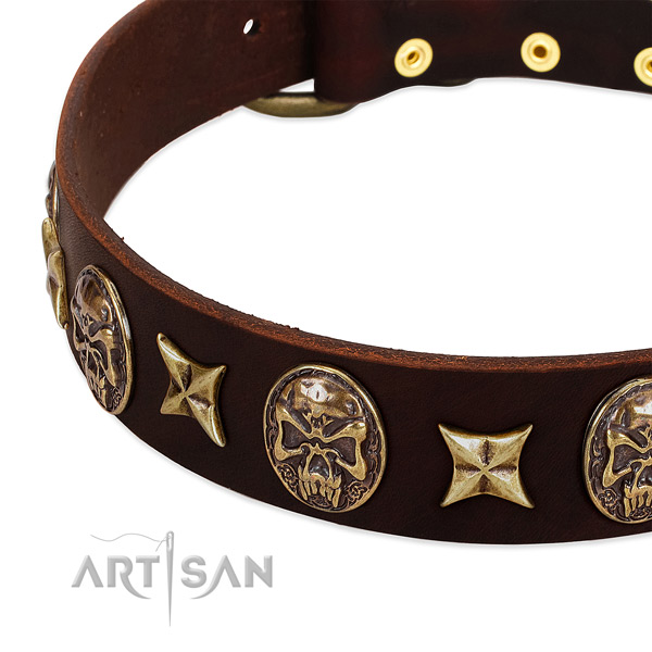 Durable studs on genuine leather dog collar for your doggie