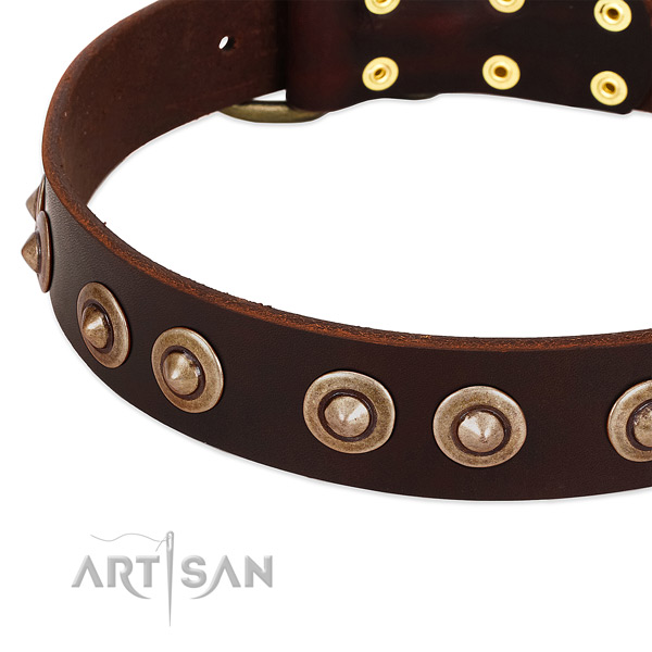 Reliable decorations on leather dog collar for your pet