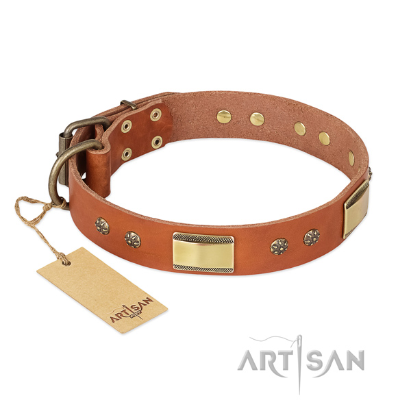 Embellished natural genuine leather collar for your canine