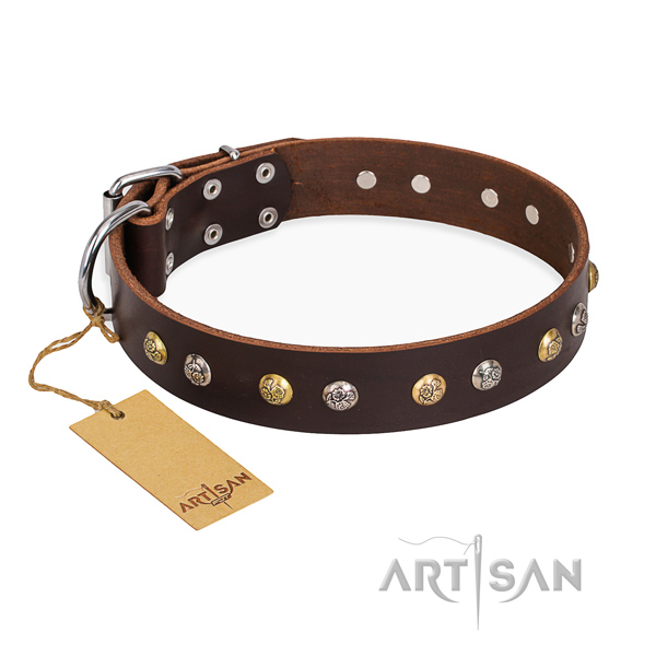 Stylish walking trendy dog collar with durable traditional buckle