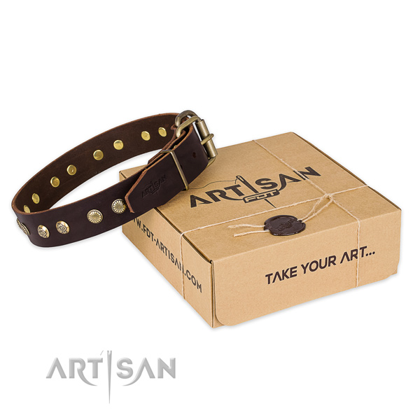 Corrosion proof fittings on natural genuine leather collar for your beautiful doggie