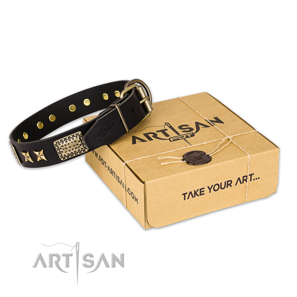 Durable buckle on full grain genuine leather collar for your impressive canine