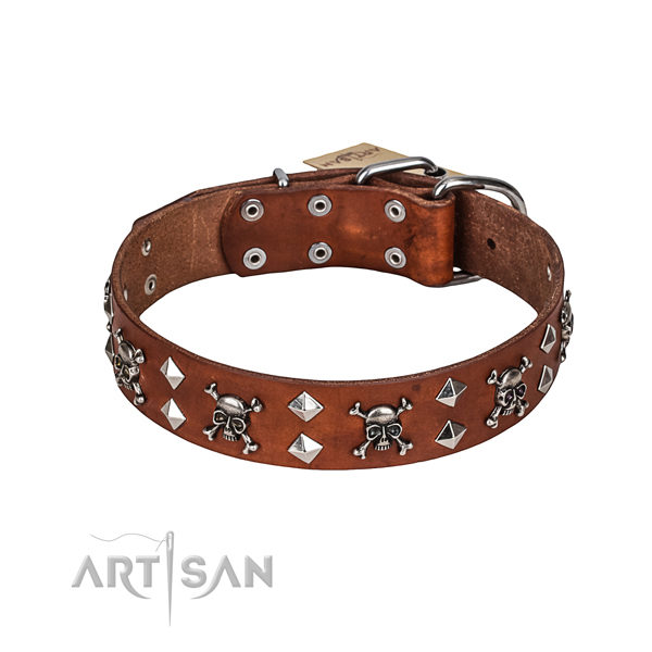 Comfortable wearing dog collar of quality full grain genuine leather with adornments