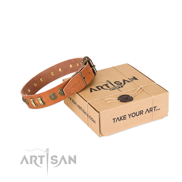 Durable embellishments on full grain leather dog collar for your pet
