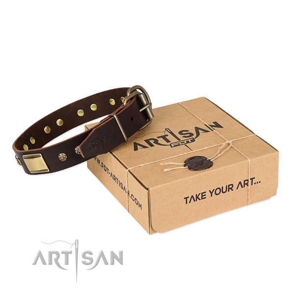 Fine quality full grain leather collar for your lovely pet