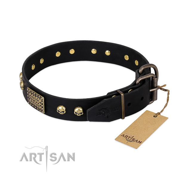 Corrosion resistant fittings on stylish walking dog collar