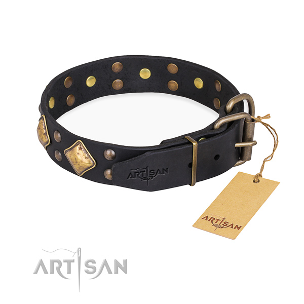 Full grain leather dog collar with significant reliable embellishments