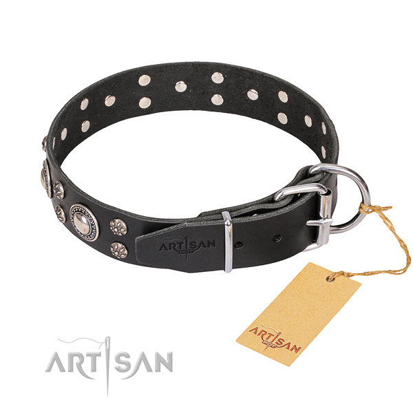 Everyday use embellished dog collar of reliable natural leather