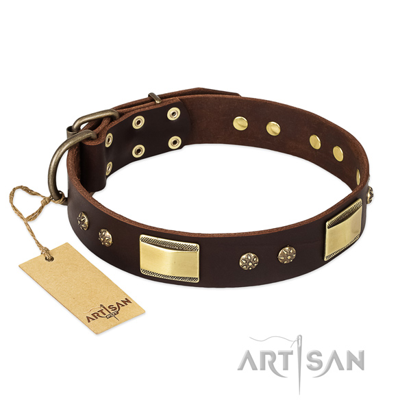 Leather dog collar with rust resistant traditional buckle and studs