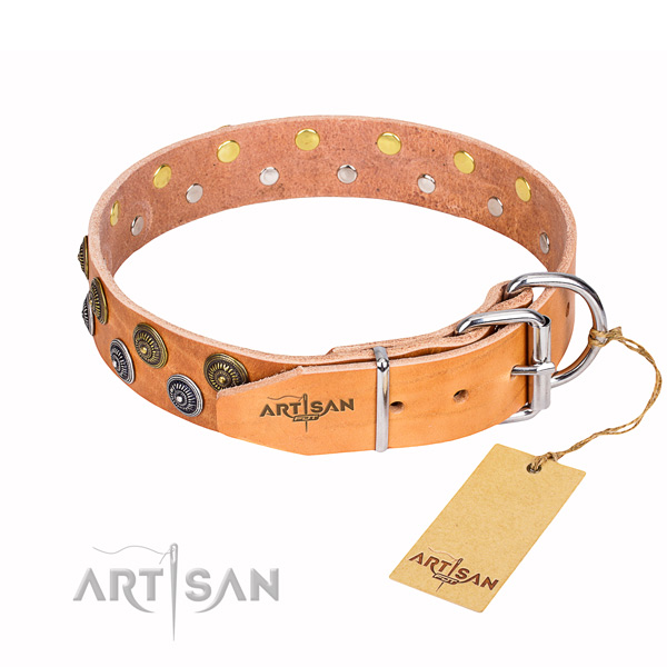 Handy use studded dog collar of fine quality full grain leather