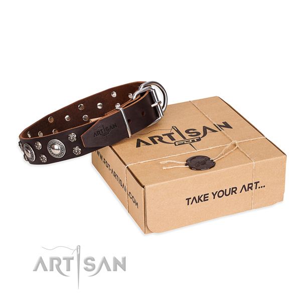 Daily use dog collar of high quality full grain natural leather with studs