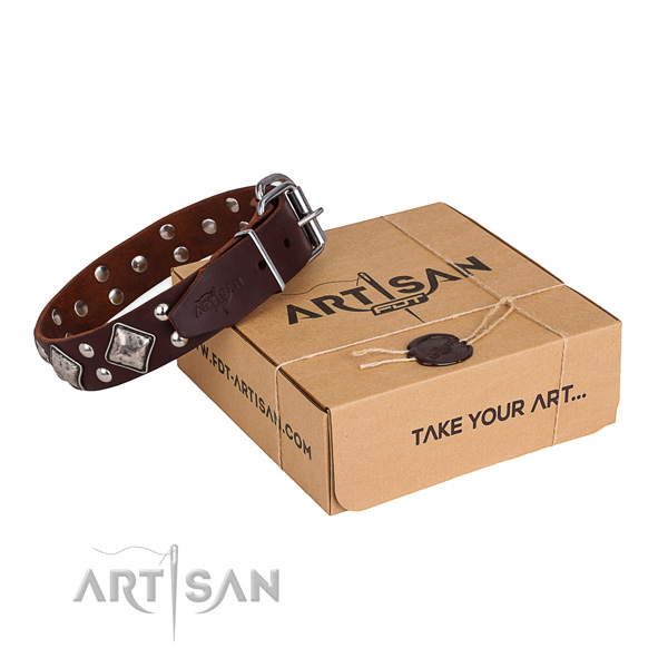 Fancy walking dog collar with Unusual rust resistant adornments
