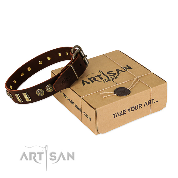 Rust resistant embellishments on full grain natural leather dog collar for your pet