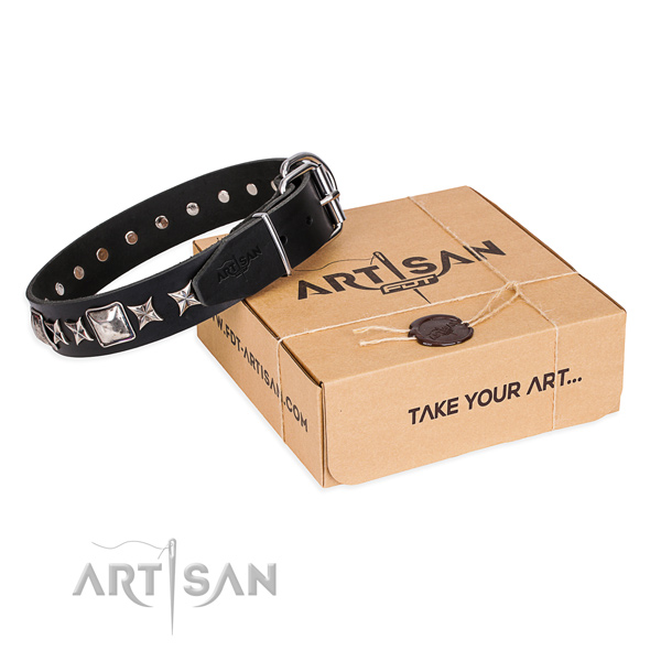 Daily use dog collar of durable full grain leather with decorations