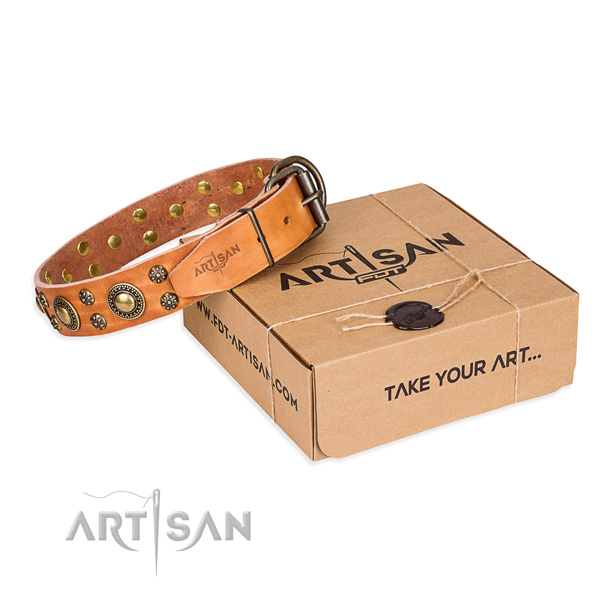 Stylish walking dog collar of quality full grain natural leather with studs
