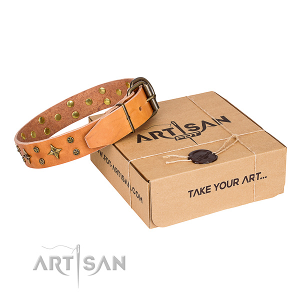 Daily use dog collar of fine quality full grain genuine leather with decorations
