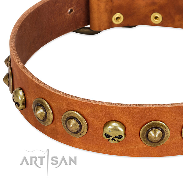 Awesome decorations on full grain natural leather collar for your canine