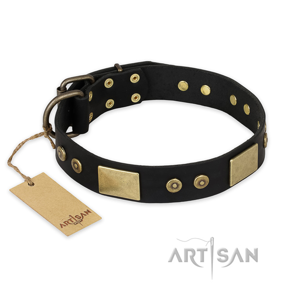 Trendy leather dog collar for fancy walking