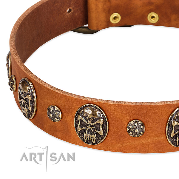 Corrosion resistant decorations on full grain genuine leather dog collar for your four-legged friend