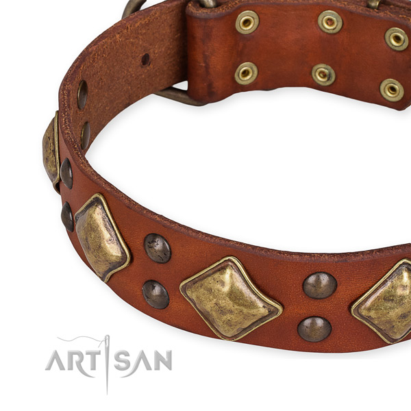 Full grain genuine leather collar with corrosion resistant hardware for your attractive dog
