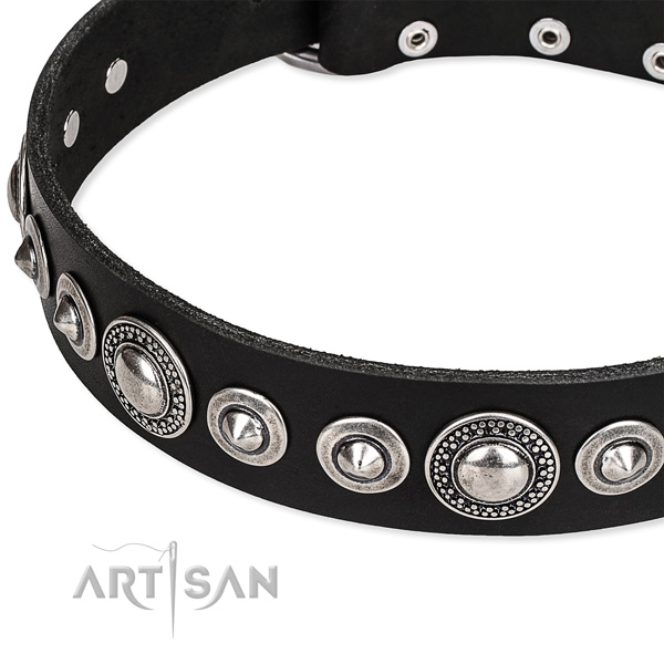 Everyday walking embellished dog collar of finest quality full grain leather