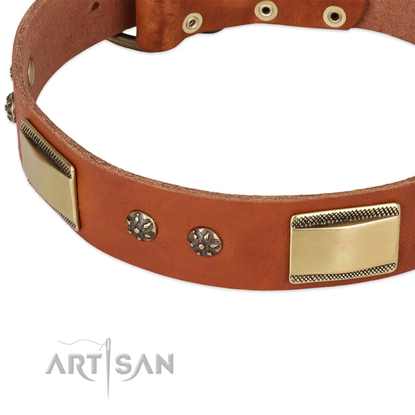 Corrosion proof fittings on full grain natural leather dog collar for your pet