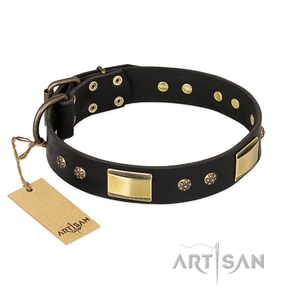 Trendy genuine leather collar for your canine