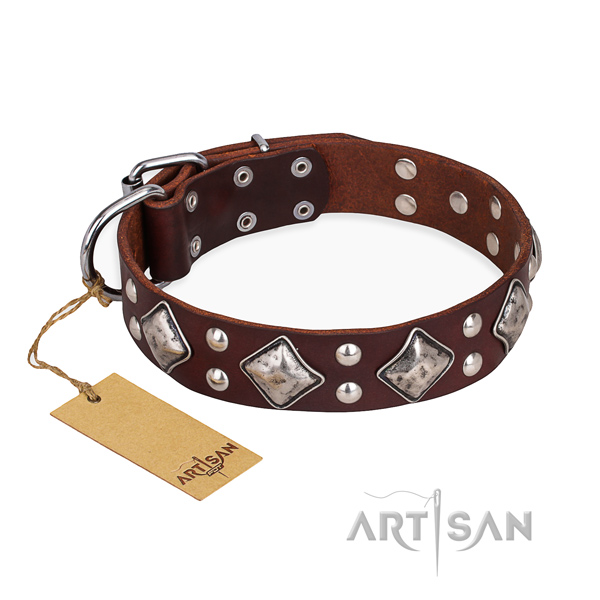 Daily walking inimitable dog collar with strong fittings