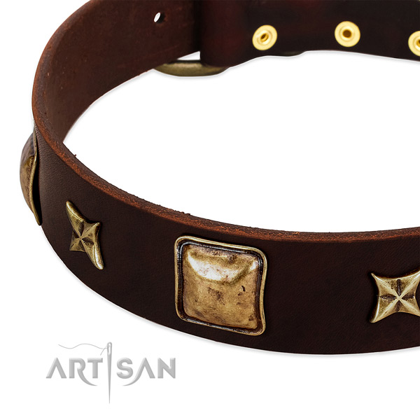 Strong traditional buckle on leather dog collar for your pet