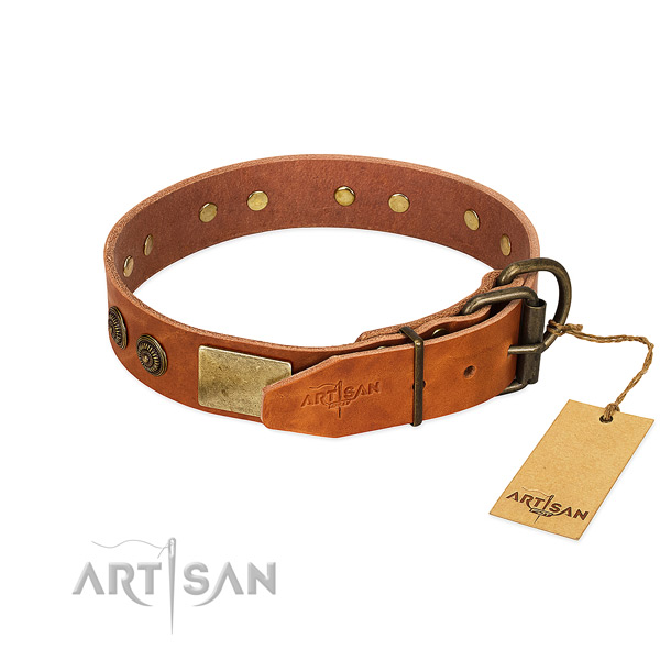 Rust-proof traditional buckle on genuine leather collar for basic training your canine
