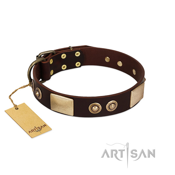 Easy wearing full grain natural leather dog collar for daily walking your doggie