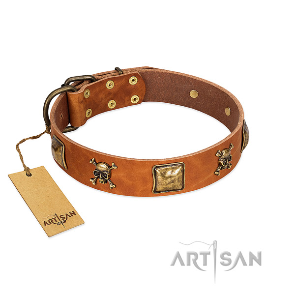 Stylish genuine leather dog collar with durable studs